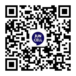 {row['two_qrcode1']['alt']}
